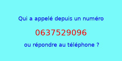 qui a appelé 0637529096  ou répondre au téléphone ?