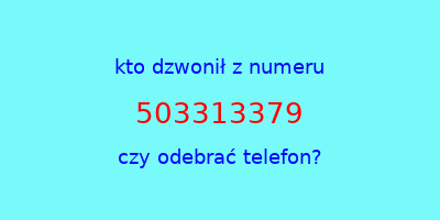 kto dzwonił 503313379  czy odebrać telefon?