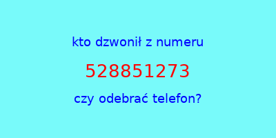 kto dzwonił 528851273  czy odebrać telefon?