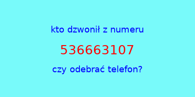 kto dzwonił 536663107  czy odebrać telefon?