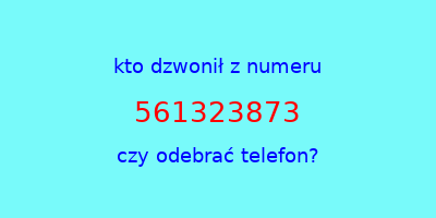 kto dzwonił 561323873  czy odebrać telefon?