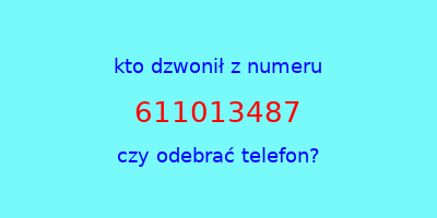 kto dzwonił 611013487  czy odebrać telefon?