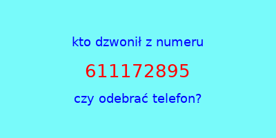 kto dzwonił 611172895  czy odebrać telefon?