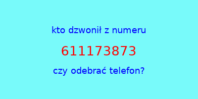 kto dzwonił 611173873  czy odebrać telefon?