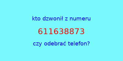 kto dzwonił 611638873  czy odebrać telefon?