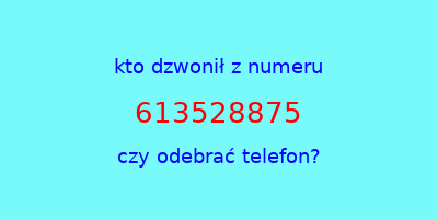 kto dzwonił 613528875  czy odebrać telefon?