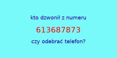 kto dzwonił 613687873  czy odebrać telefon?