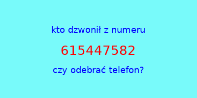 kto dzwonił 615447582  czy odebrać telefon?