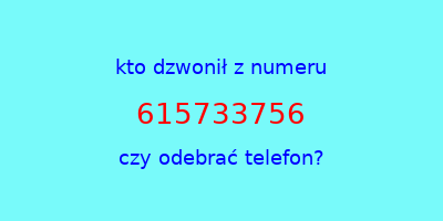 kto dzwonił 615733756  czy odebrać telefon?