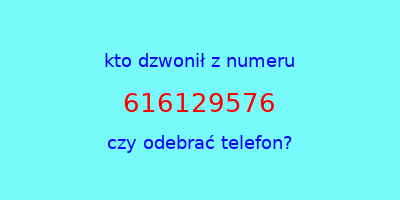 kto dzwonił 616129576  czy odebrać telefon?