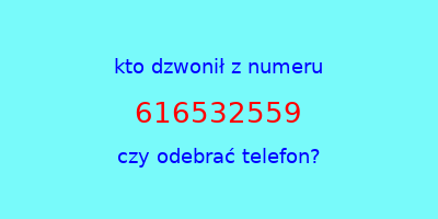 kto dzwonił 616532559  czy odebrać telefon?