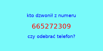 kto dzwonił 665272309  czy odebrać telefon?