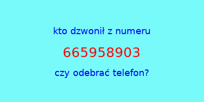 kto dzwonił 665958903  czy odebrać telefon?