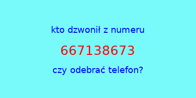 kto dzwonił 667138673  czy odebrać telefon?