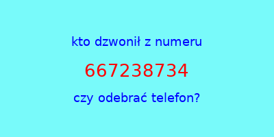 kto dzwonił 667238734  czy odebrać telefon?