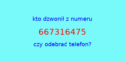 kto dzwonił 667316475  czy odebrać telefon?