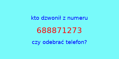 kto dzwonił 688871273  czy odebrać telefon?