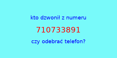 kto dzwonił 710733891  czy odebrać telefon?