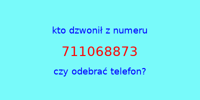 kto dzwonił 711068873  czy odebrać telefon?