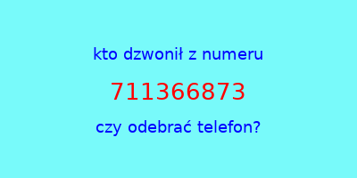 kto dzwonił 711366873  czy odebrać telefon?