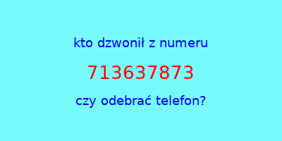 kto dzwonił 713637873  czy odebrać telefon?