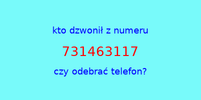 kto dzwonił 731463117  czy odebrać telefon?