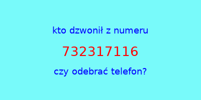 kto dzwonił 732317116  czy odebrać telefon?