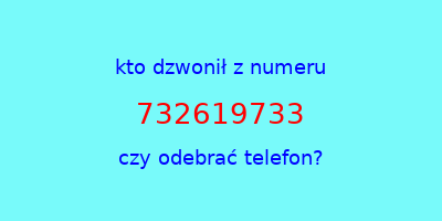 kto dzwonił 732619733  czy odebrać telefon?