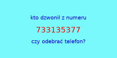 kto dzwonił 733135377  czy odebrać telefon?