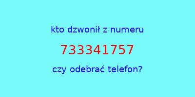 kto dzwonił 733341757  czy odebrać telefon?