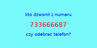 kto dzwonił 733666687  czy odebrać telefon?