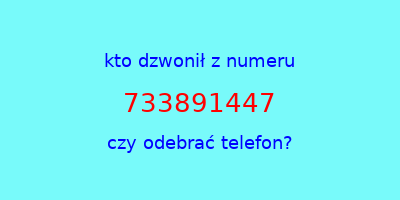 kto dzwonił 733891447  czy odebrać telefon?