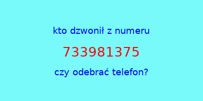 kto dzwonił 733981375  czy odebrać telefon?