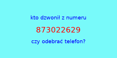 kto dzwonił 873022629  czy odebrać telefon?