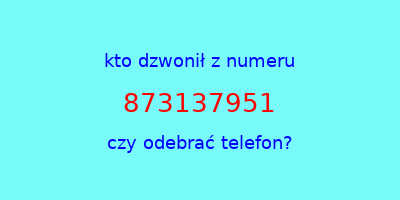 kto dzwonił 873137951  czy odebrać telefon?