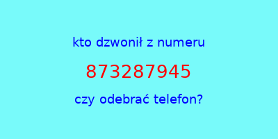 kto dzwonił 873287945  czy odebrać telefon?