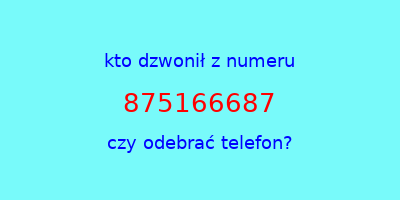 kto dzwonił 875166687  czy odebrać telefon?