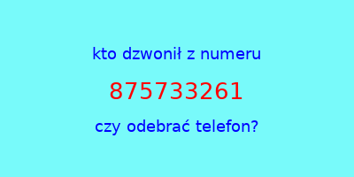 kto dzwonił 875733261  czy odebrać telefon?